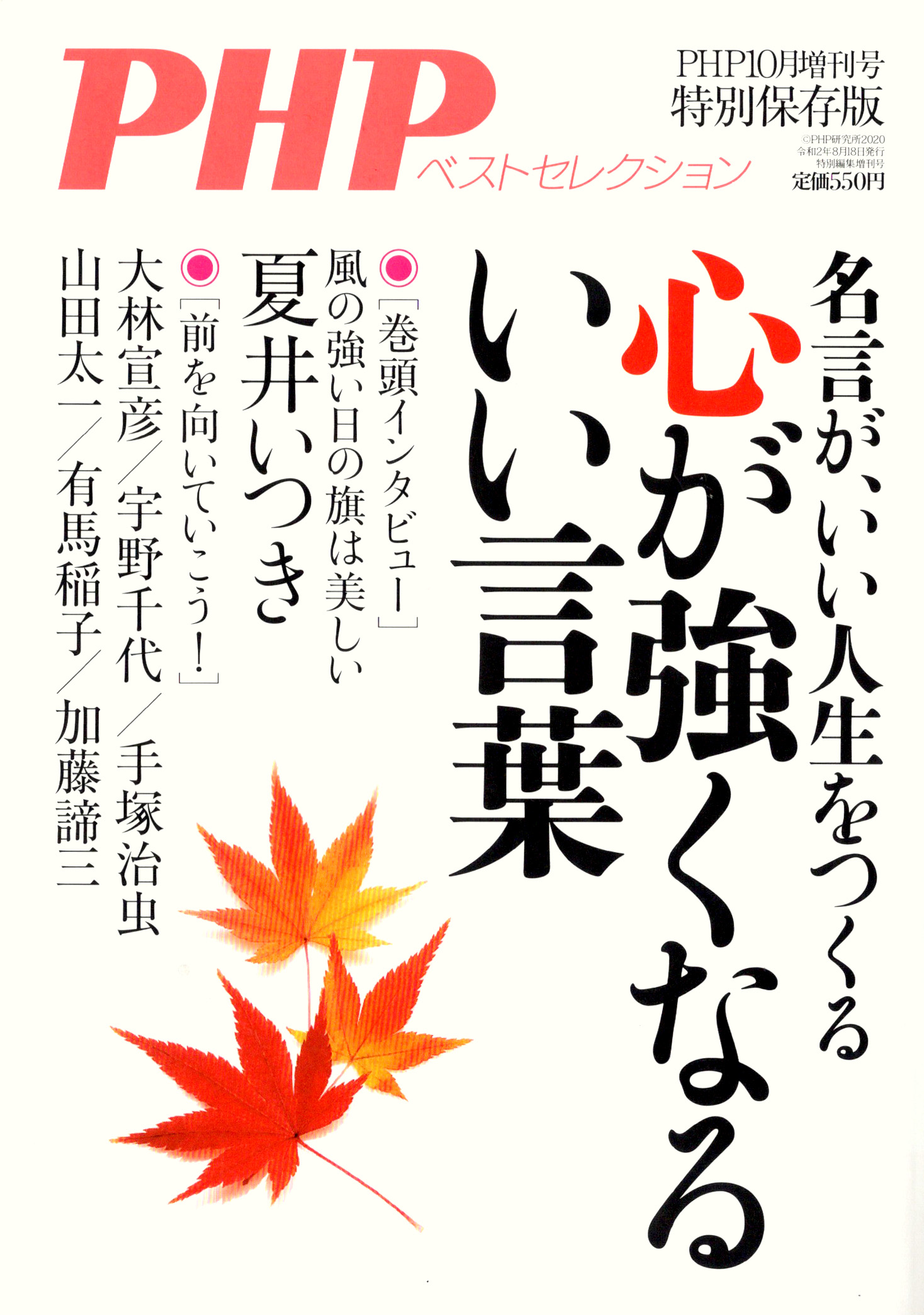 柿沼康二 公式サイト 書家 書道家 現代美術家